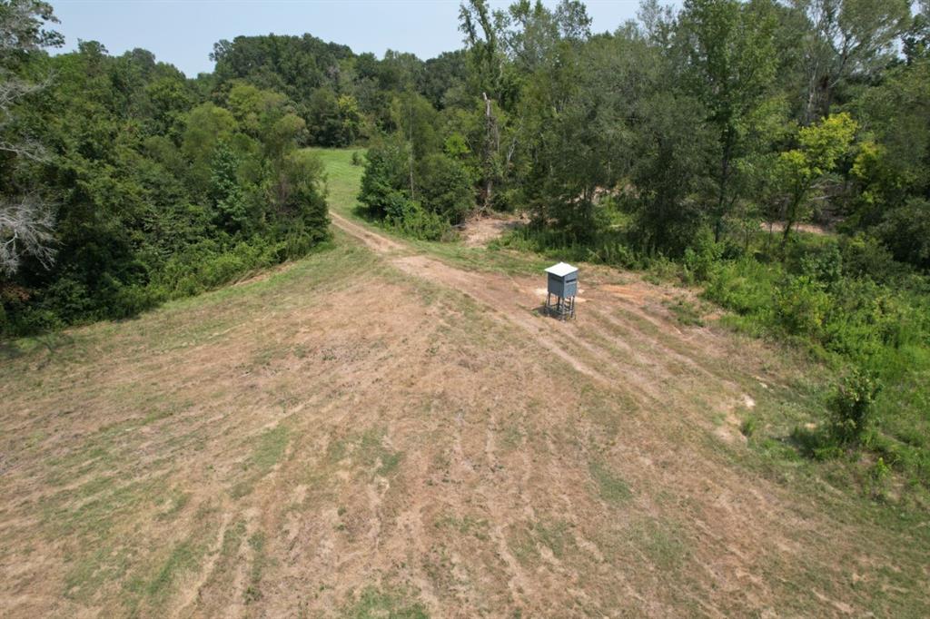 TBD-C Cr 490  , Henderson, Texas image 37