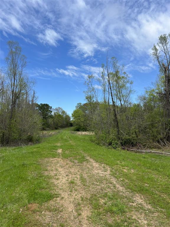 TBD-C Cr 490  , Henderson, Texas image 10