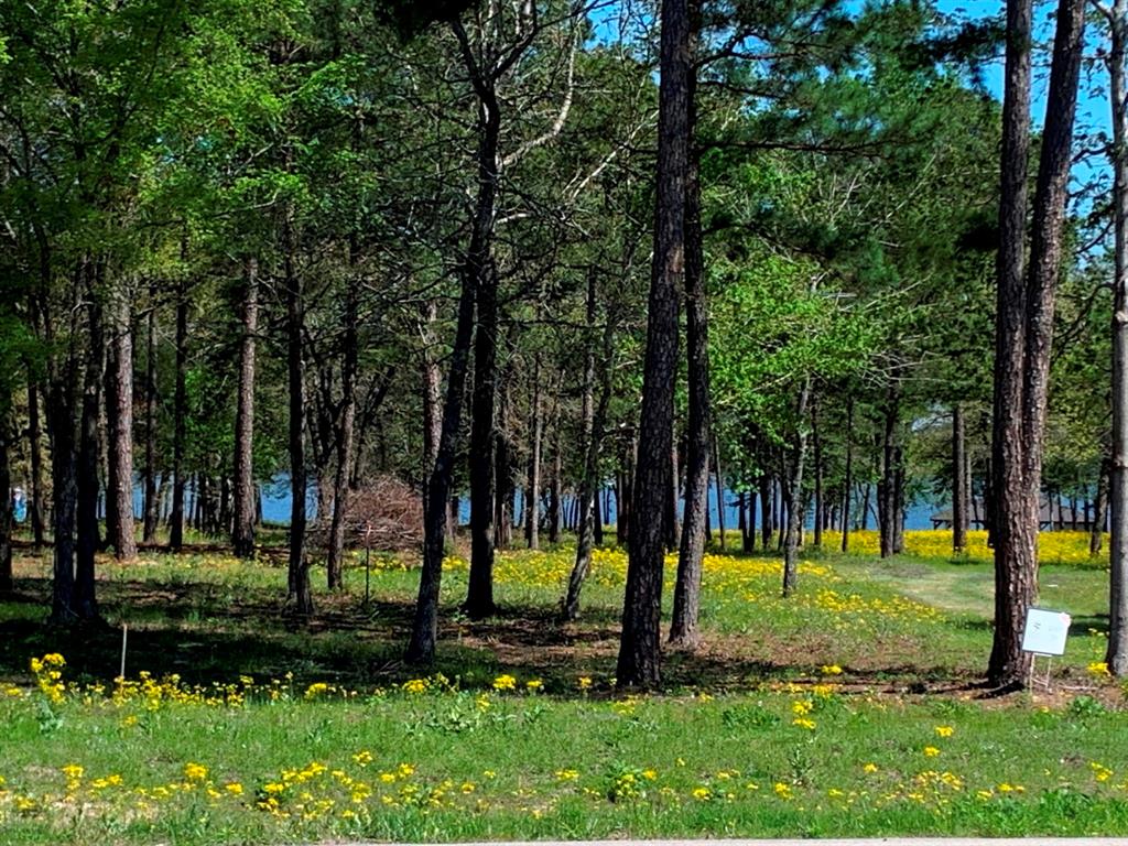 3155 Shadow Pine Drive , Larue, Texas image 7