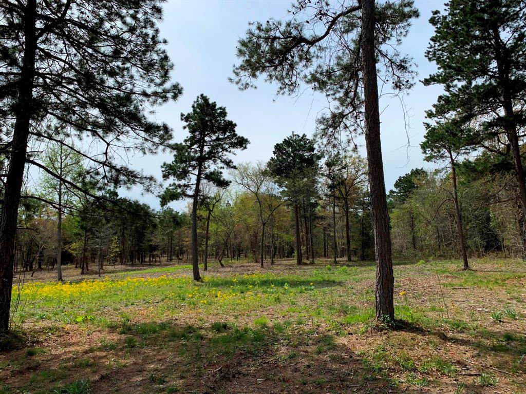 3155 Shadow Pine Drive , Larue, Texas image 8