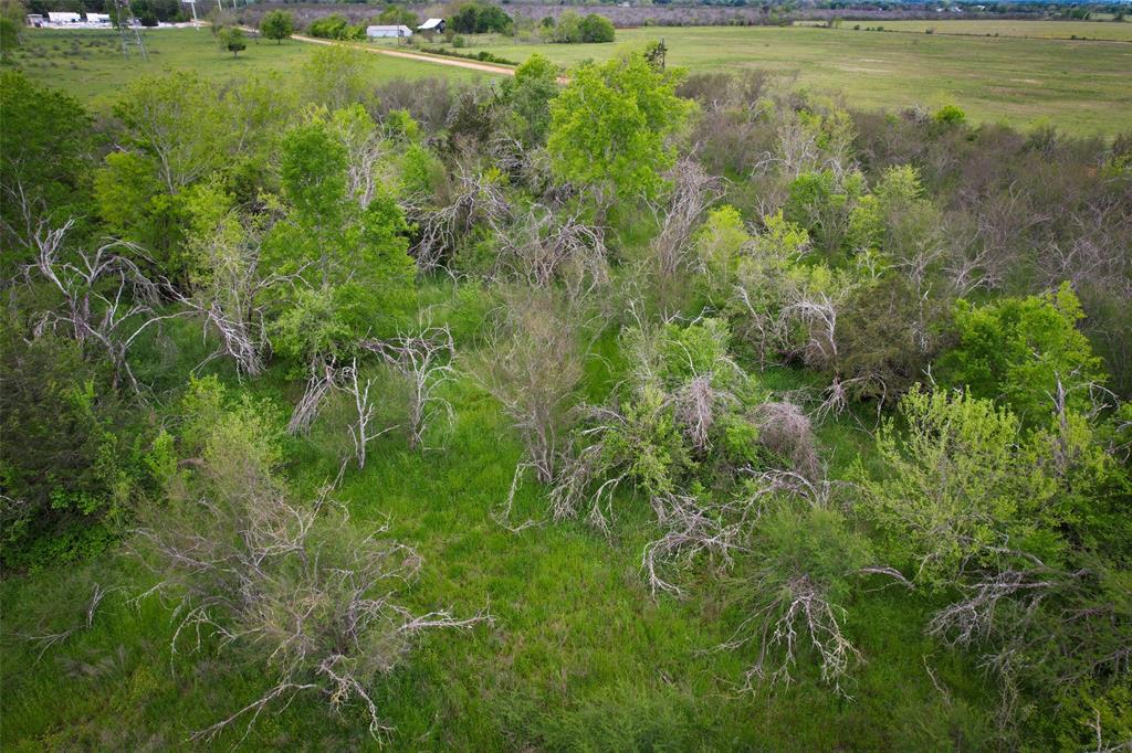 Several great HOMESITES to choose from on 5 acres of LAND near the quiet little town of Bellville, Texas