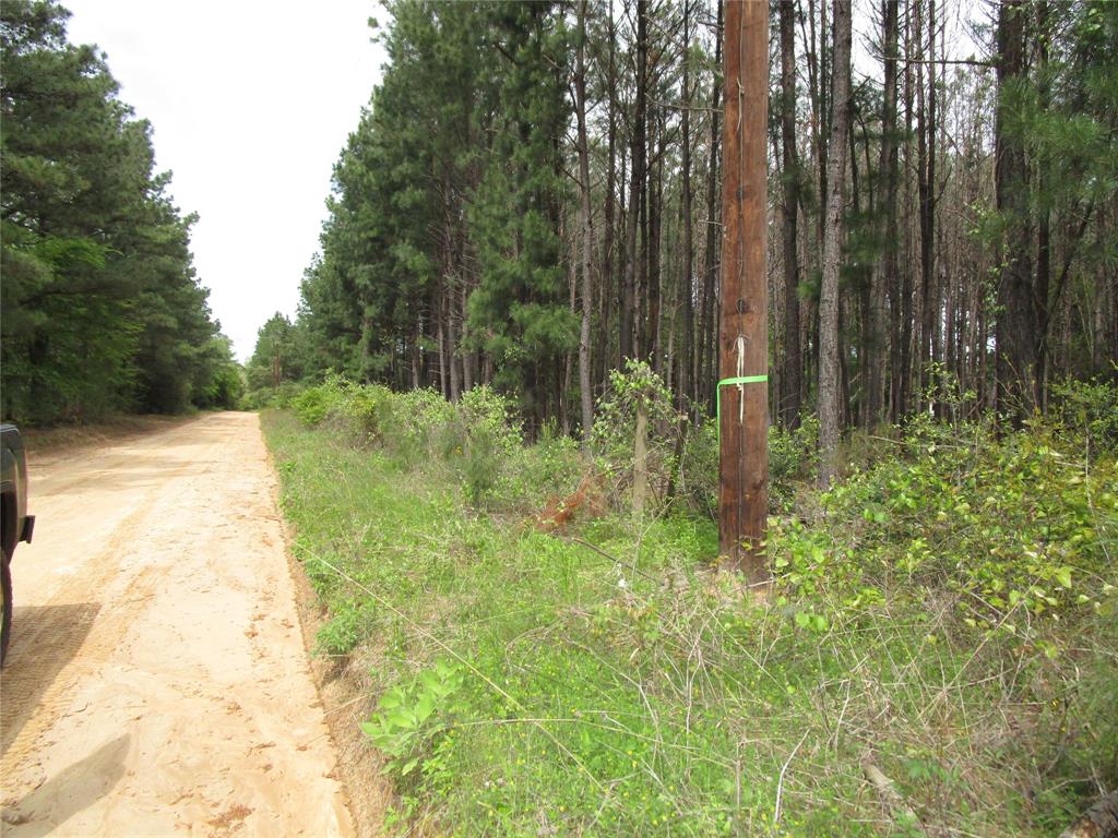SUPER  3 ACRE TRACT JUST MINUTES FROM DOWNTOWN GRAPELAND. MOSTLY CLEARED WITH SOME TALL PINES FOR A NICE BUFFER. PROPETY IS QUITE LEVEL FOR BUILDING. ELECTRICITY ON THE PROPERTY AND PUBLIC WATER AT THE ROAD. PROPERTY BODERS CR 2238 AND PRIVATE ROAD 6145.