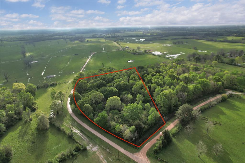 Three lots make up over 12 acres of undeveloped land in Shepherd Tx.  North of Houston where you are surrounded by tall pine trees, rolling pastures and easy living. Very low tax rate at 1.63 and affords enough land for multiple homesites with 5.04, 2.507 and 5.109 respectfully. Enjoy country living with easy access to I-69. Please call for more information.