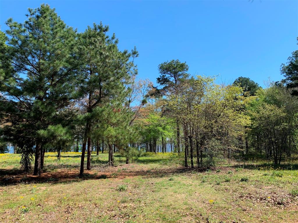 3110 Shadow Pine Drive , Larue, Texas image 7