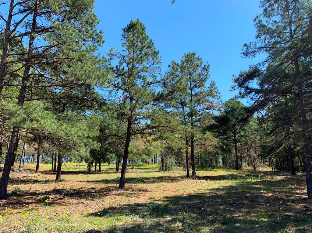 3110 Shadow Pine Drive , Larue, Texas image 8