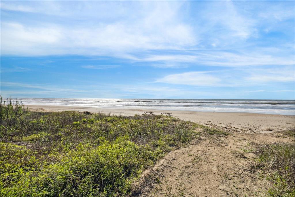 Primitive dunes welcome you seaward.