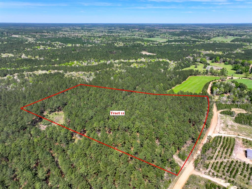 Located just 20 minutes from Livingston and an hour and a half from Houston proper, these properties provide an excellent location for rural living with easy access to town. The neighboring properties include private ownership, timber companies, and the unique Alabama-Coushatta Reservation to the South. Less than 10 minutes to the Naskila Casino!
The landscape boasts growing pines, previously thinned, opening up the understory. Native shrubs and other flora abound throughout the untouched land. The gently rolling topography allows for optimal drainage following rains and keeps the majority of the land high and dry – perfect for homesites or campsites!
Paved roads take you all the way to Tract 9 with dual frontage on FM 2500 and Puckett Cutoff Road. Tract 10 and 11 are a short drive down Puckett Cutoff, an improved county road consisting of rock and dirt base. Electricity is readily available along the road to be pulled to your desired location!