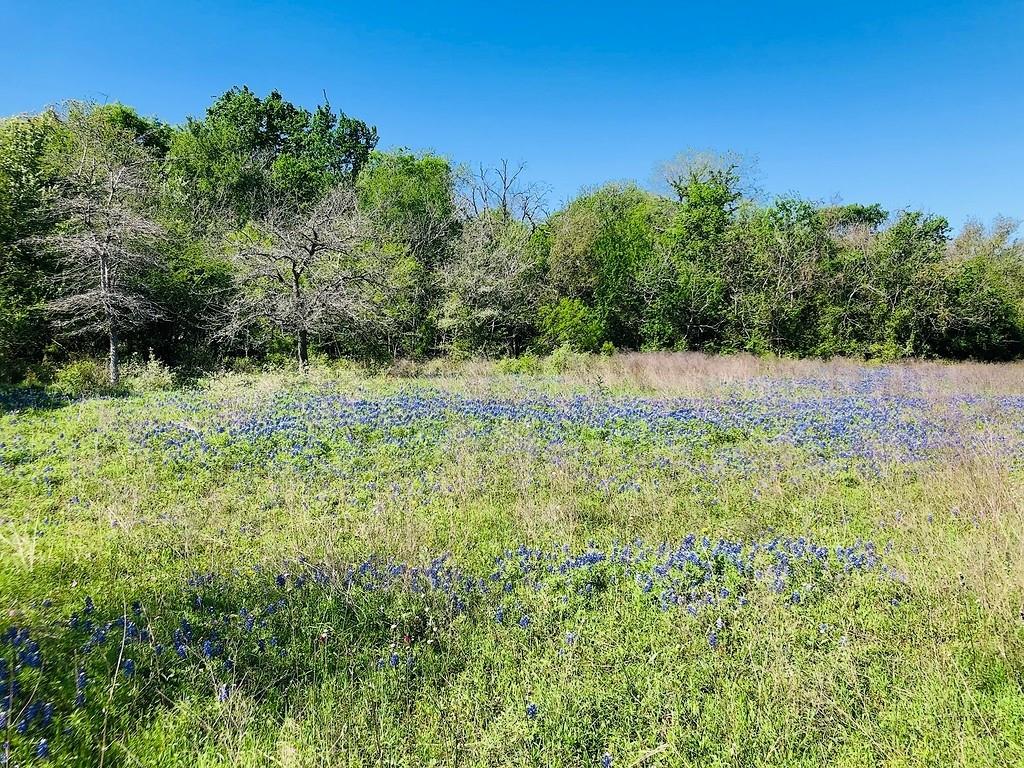 TBD Scott Road , Weimar, Texas image 17