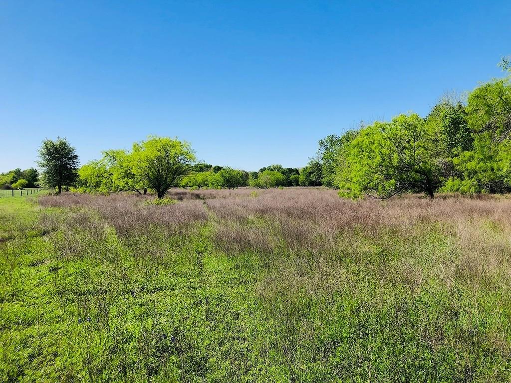 TBD Scott Road , Weimar, Texas image 18