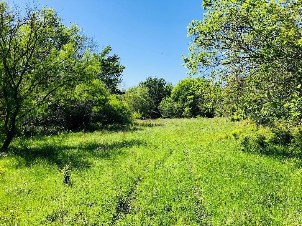 TBD Scott Road , Weimar, Texas image 19