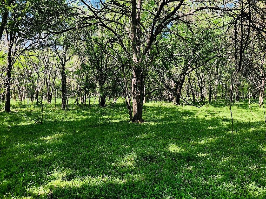 TBD Scott Road , Weimar, Texas image 21