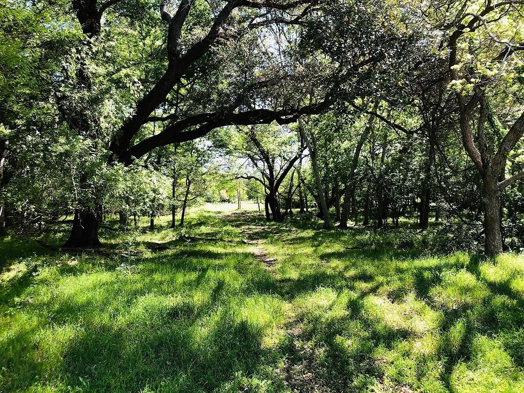 TBD Scott Road , Weimar, Texas image 6