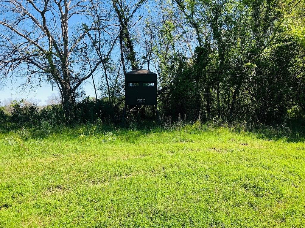 TBD Scott Road , Weimar, Texas image 9