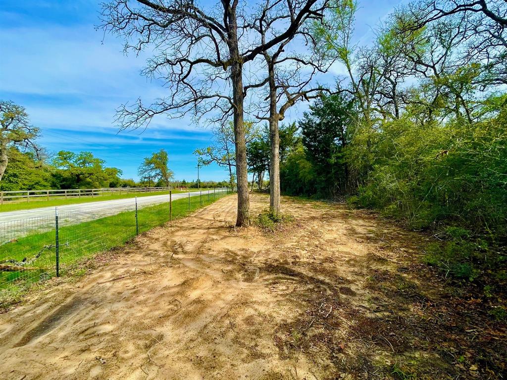 TBD 2 County Road 469  , Normangee, Texas image 14