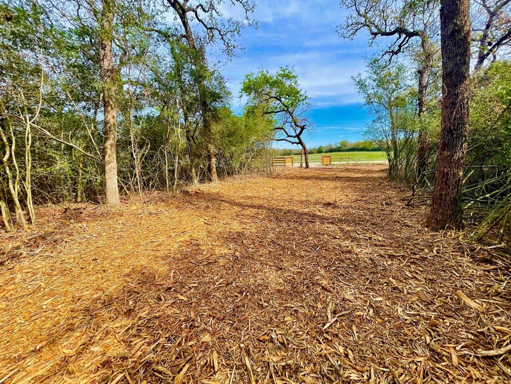 TBD 2 County Road 469  , Normangee, Texas image 4