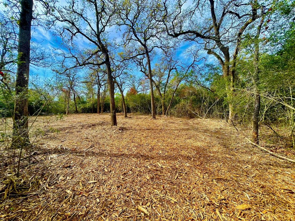 TBD 2 County Road 469  , Normangee, Texas image 5