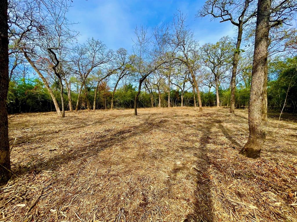 TBD 2 County Road 469  , Normangee, Texas image 6