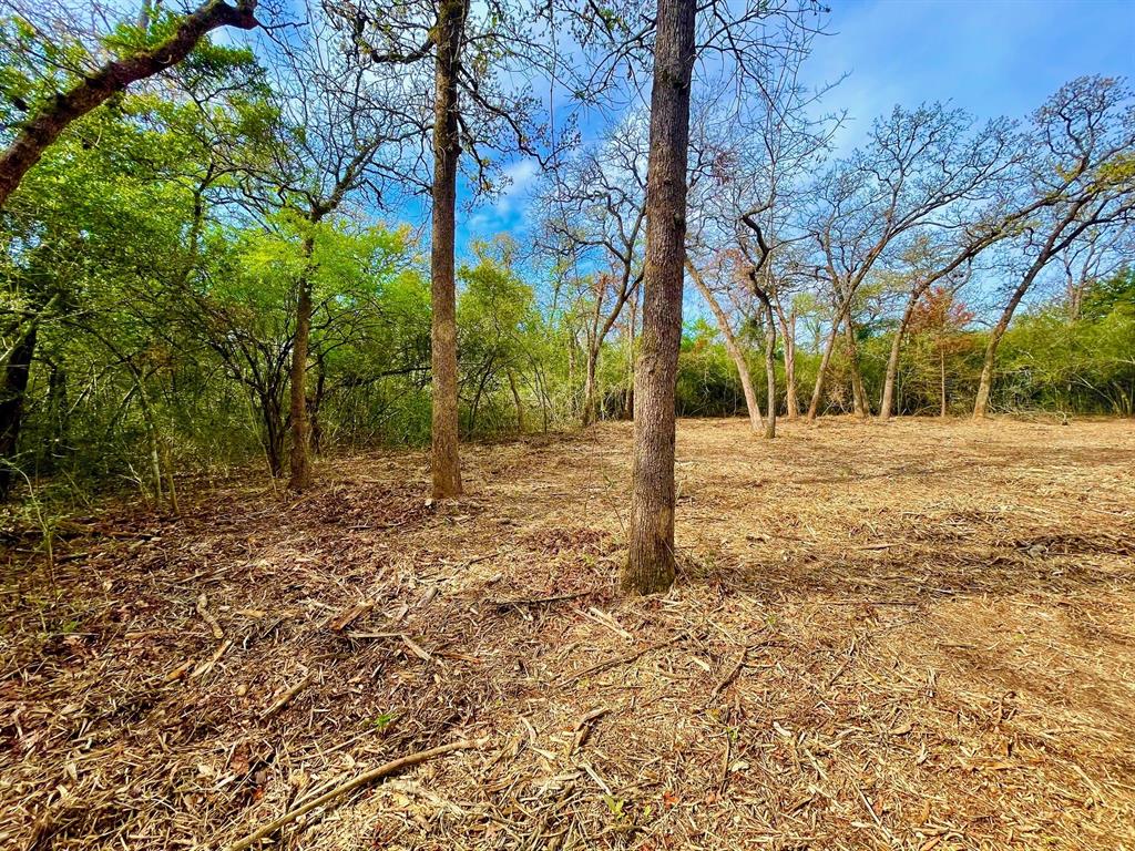 TBD 2 County Road 469  , Normangee, Texas image 7