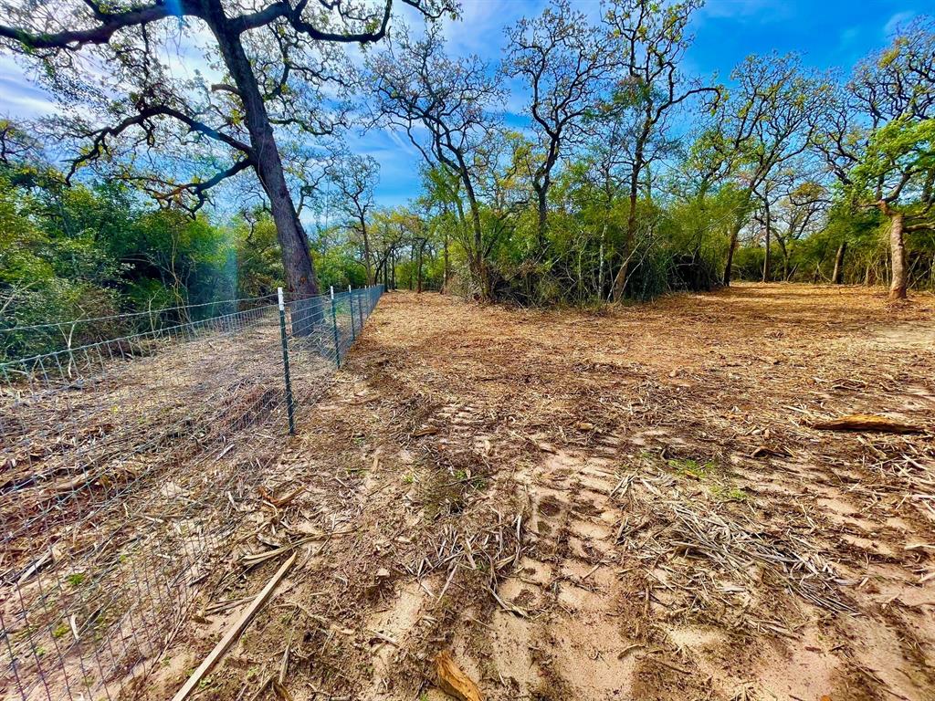 TBD 2 County Road 469  , Normangee, Texas image 8