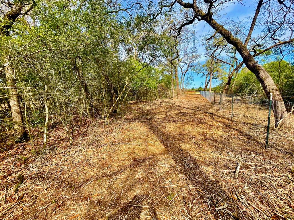 TBD 2 County Road 469  , Normangee, Texas image 9