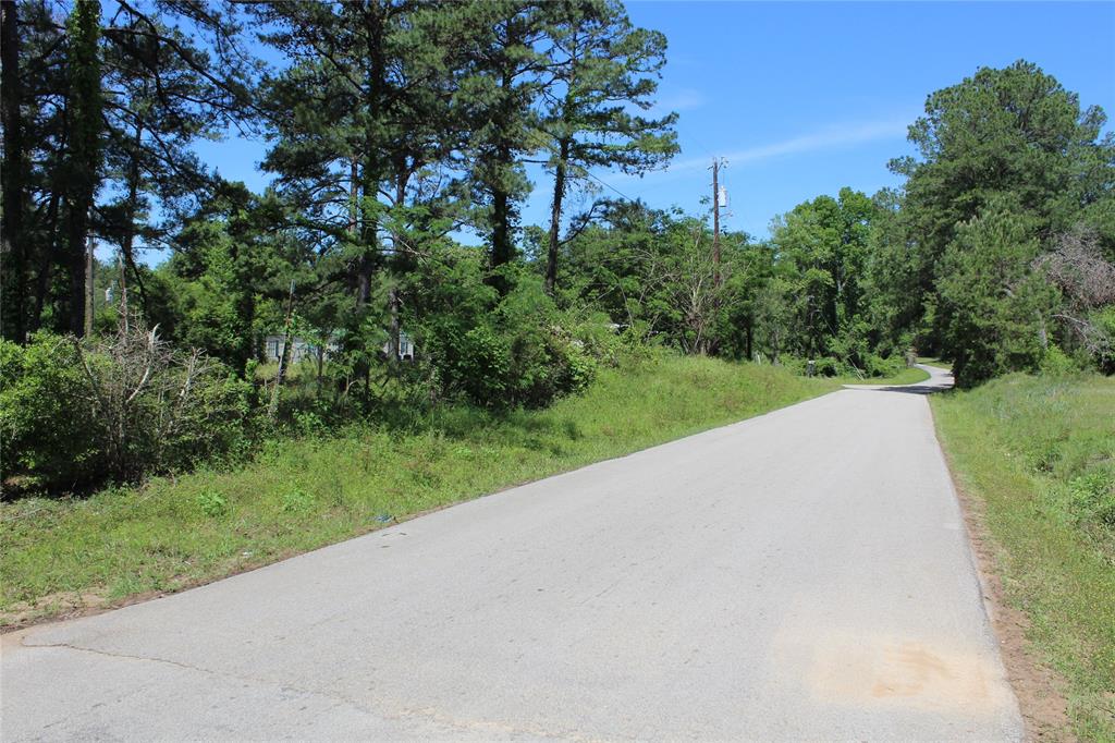 TBD County Rd 1001  , Newton, Texas image 6