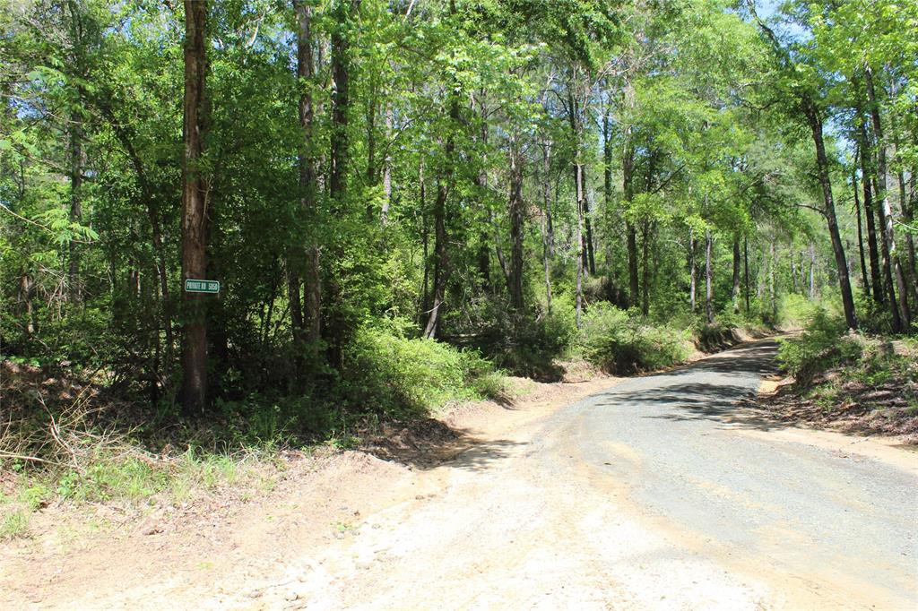 TBD County Rd 1001  , Newton, Texas image 7