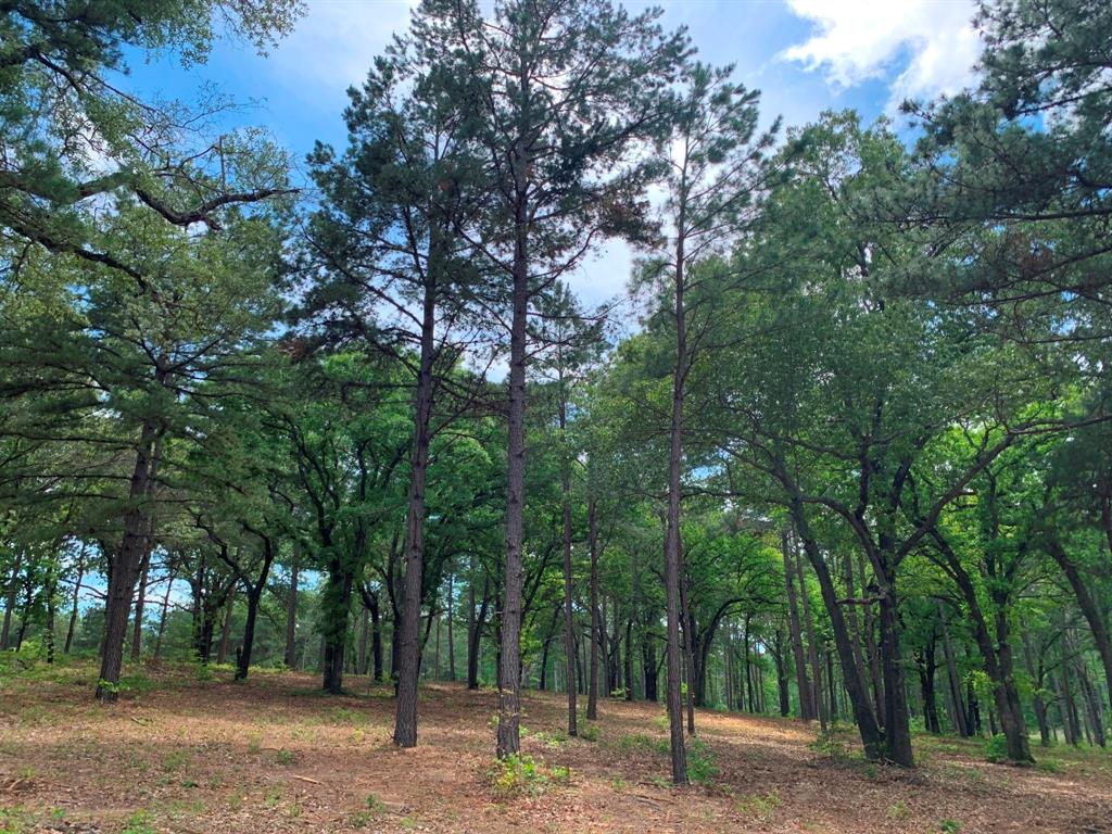 3200 Shadow Pine Drive , Larue, Texas image 17