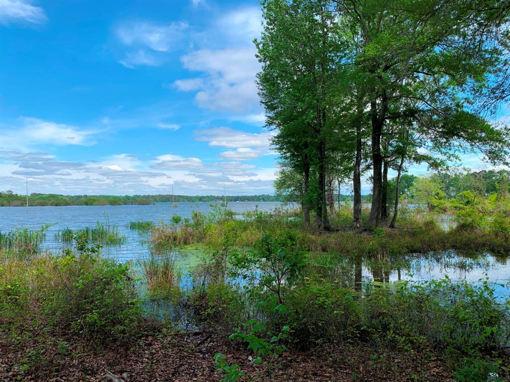 3200 Shadow Pine Drive , Larue, Texas image 8