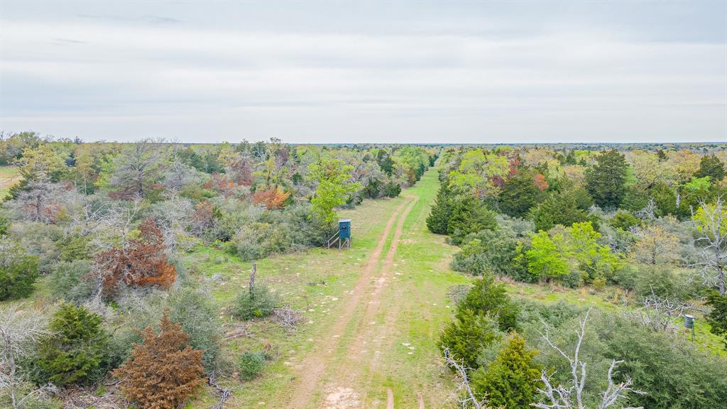 498 Private Road 5787  , Groesbeck, Texas image 6