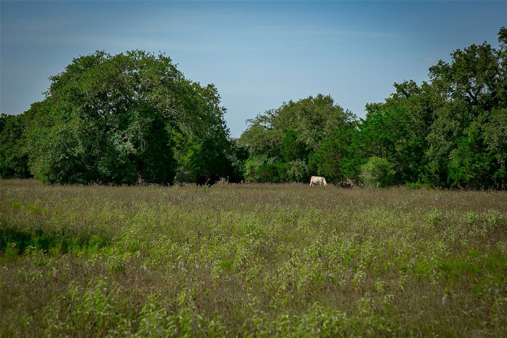 761 Community Ctr Road , Rosanky, Texas image 37