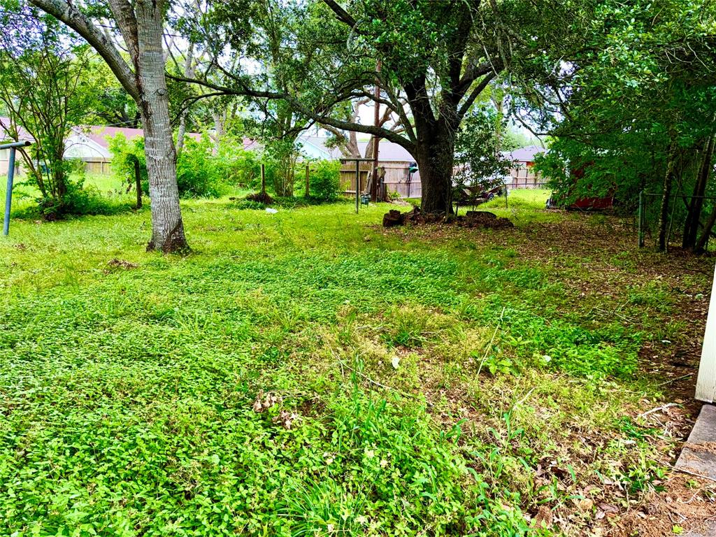 Backyard with beautiful mature trees