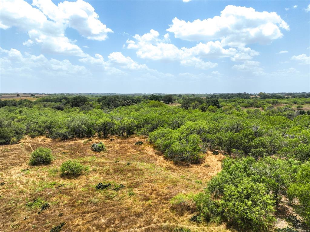 TR 29 Cr 124 Road , Floresville, Texas image 6