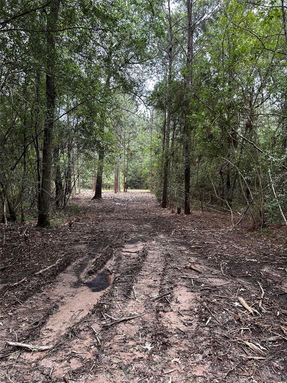 Underbrushing was done for ease of walking the perimeter in April of 2024