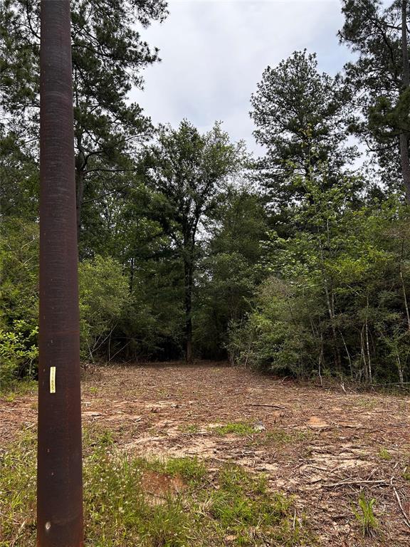 Underbrushing was done for ease of walking the perimeter in April of 2024