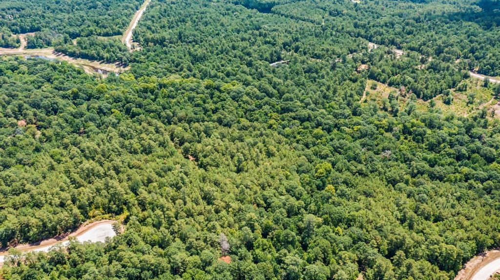 Aerial view of dense green forest with winding roads cutting through it.