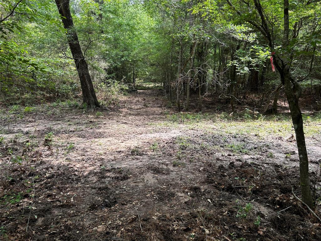 Underbrushing was done for ease of walking the perimeter in April of 2024