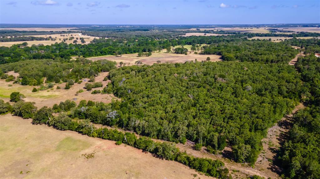 1501 Walleye Creek Trail  , Lexington, Texas image 11