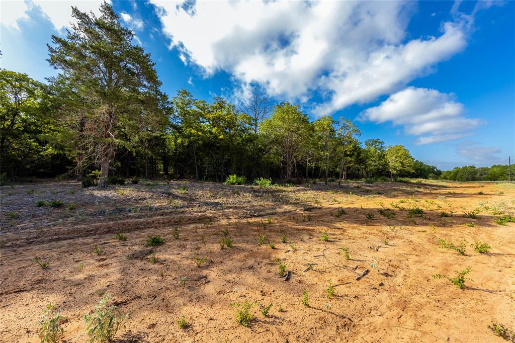 1501 Walleye Creek Trail  , Lexington, Texas image 12