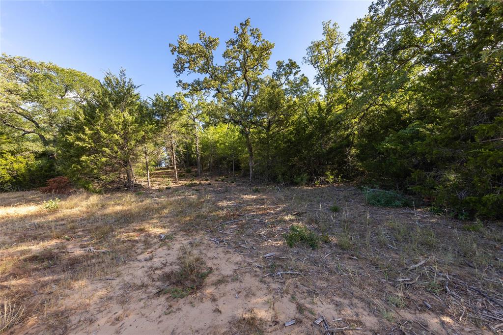 1501 Walleye Creek Trail  , Lexington, Texas image 13