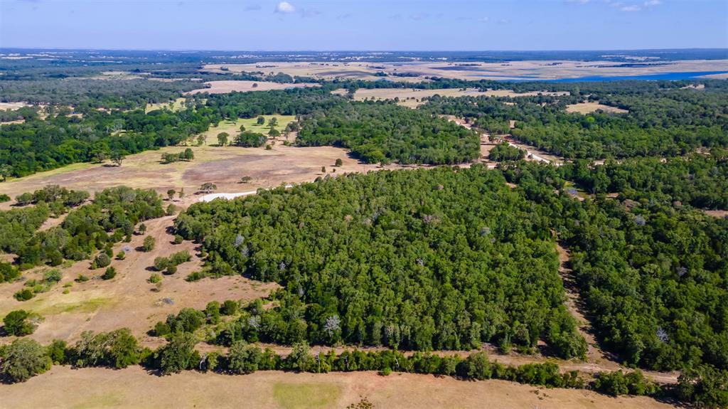 1501 Walleye Creek Trail  , Lexington, Texas image 14