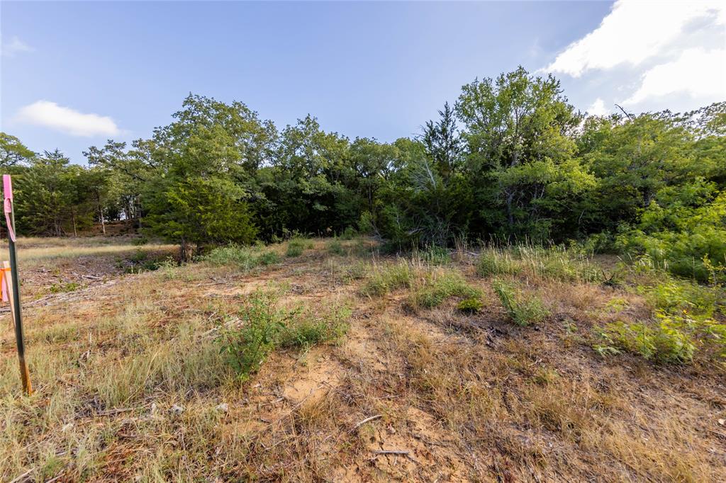 1501 Walleye Creek Trail  , Lexington, Texas image 15