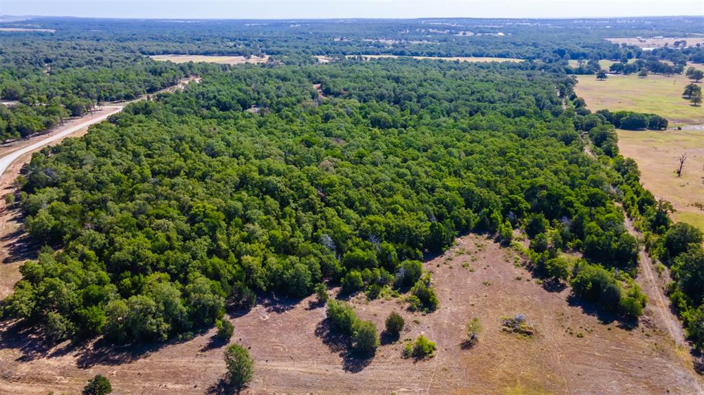 1501 Walleye Creek Trail  , Lexington, Texas image 17