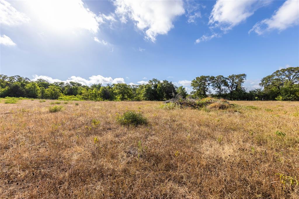 1501 Walleye Creek Trail  , Lexington, Texas image 19