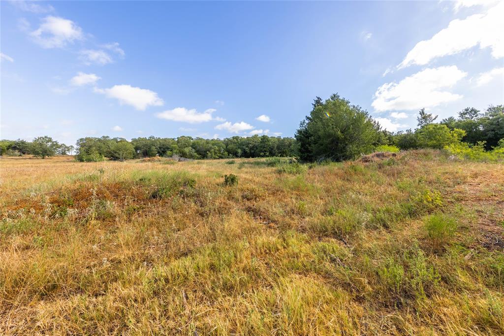 1501 Walleye Creek Trail  , Lexington, Texas image 25