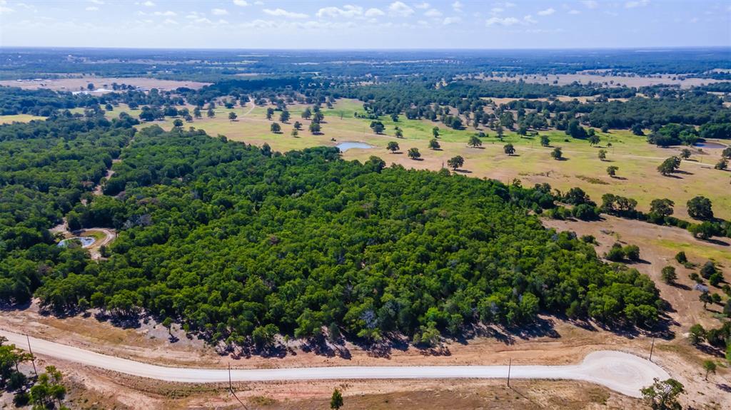 1501 Walleye Creek Trail  , Lexington, Texas image 26