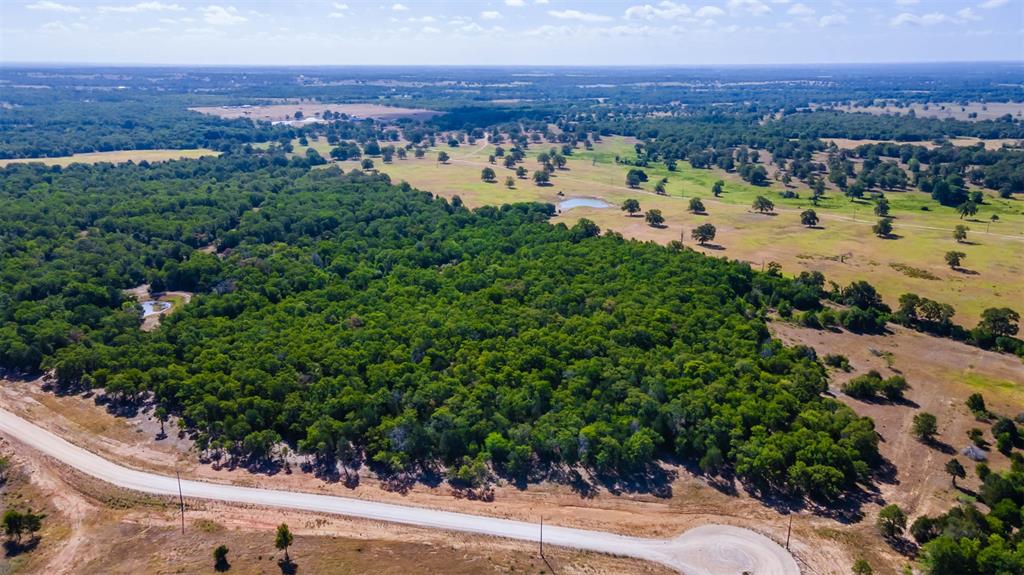 1501 Walleye Creek Trail  , Lexington, Texas image 28