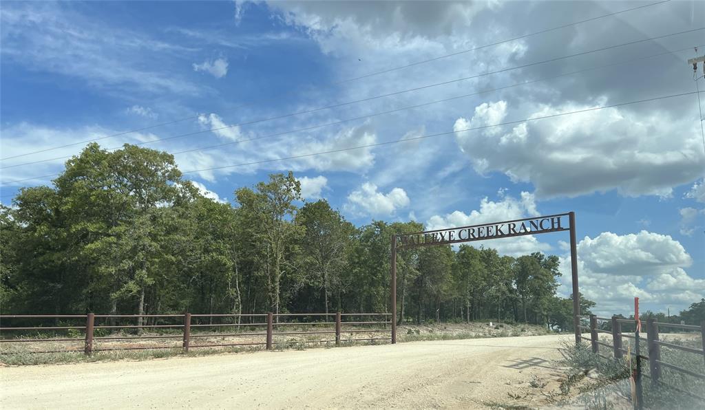 1501 Walleye Creek Trail  , Lexington, Texas image 4