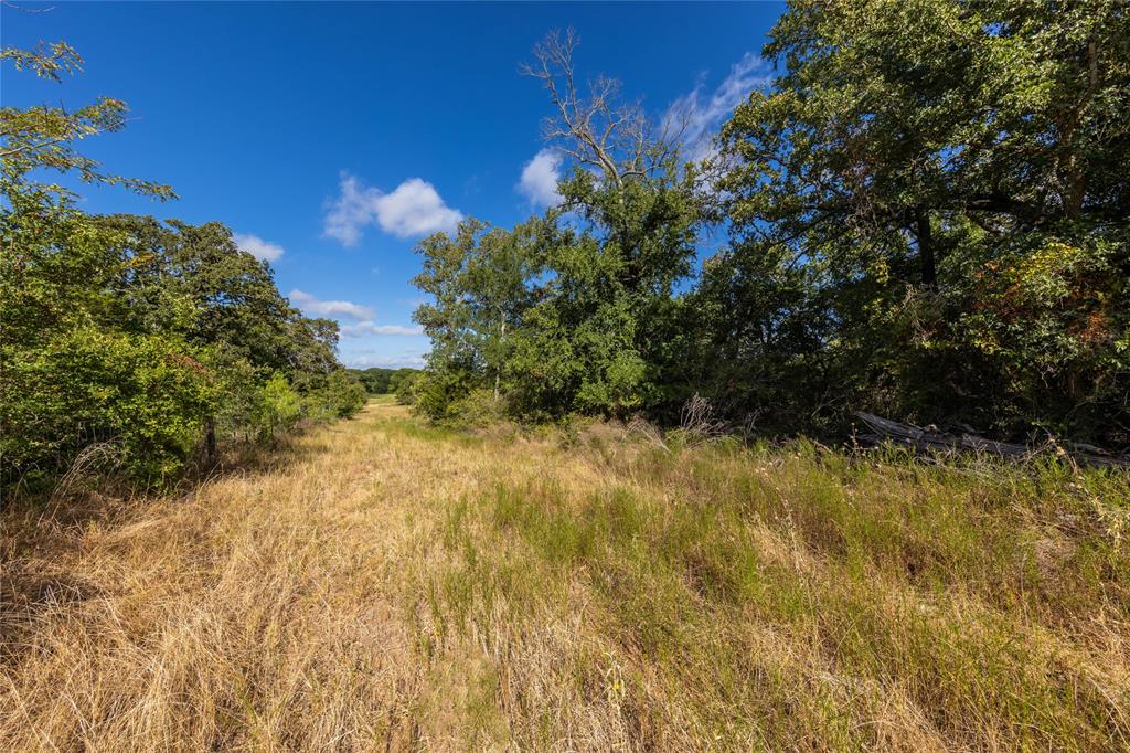 1501 Walleye Creek Trail  , Lexington, Texas image 31