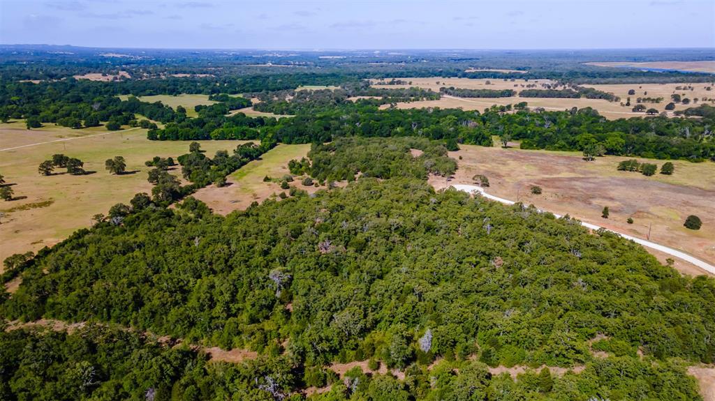 1501 Walleye Creek Trail  , Lexington, Texas image 32