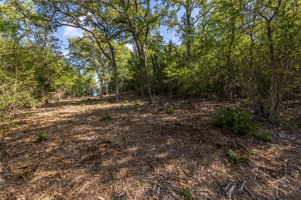 1501 Walleye Creek Trail  , Lexington, Texas image 33